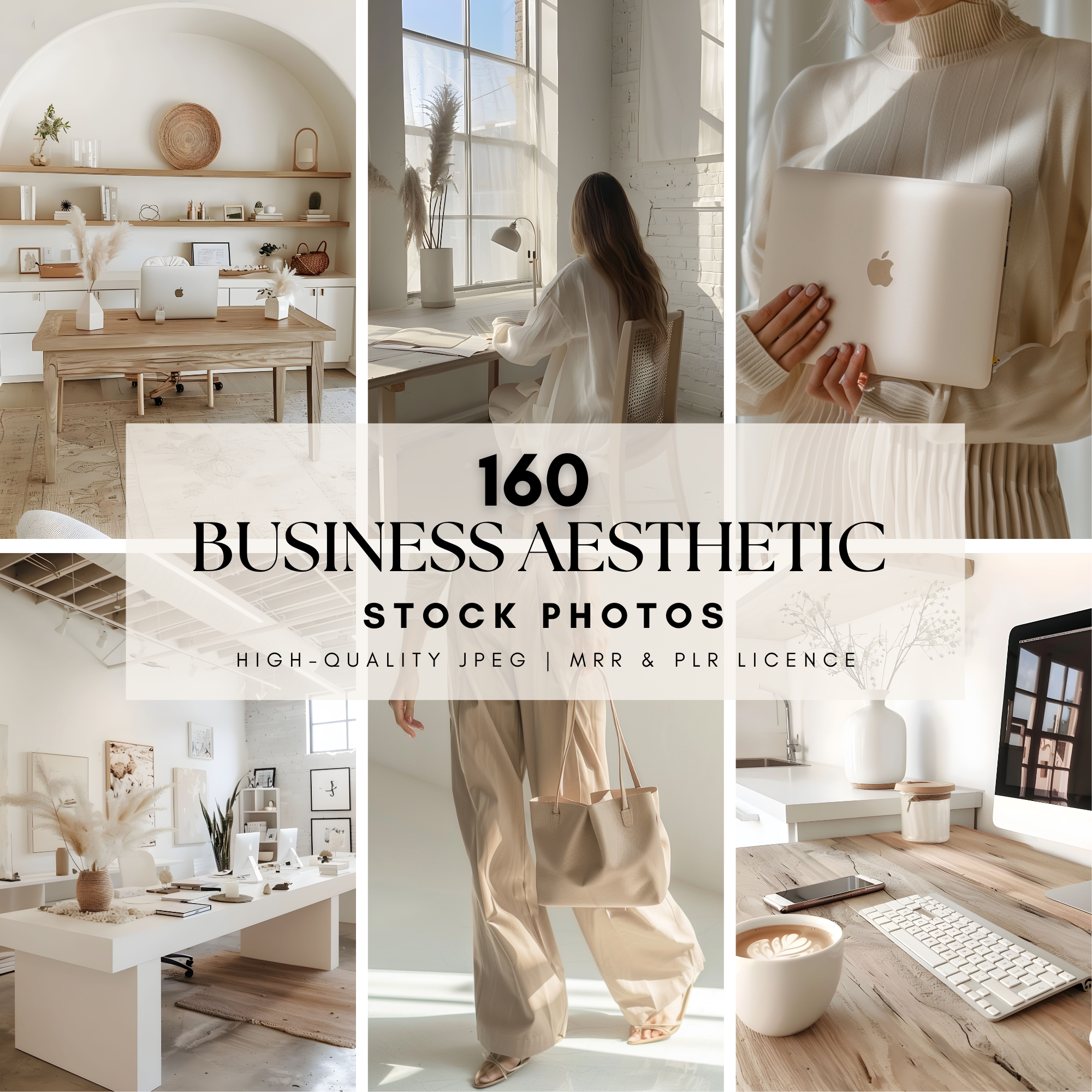 Business aesthetic stock images with master resell rights, featuring elegant office setups, neutral tones, and professional branding elements.