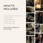 115 Luxury Lifestyle Stock Photos