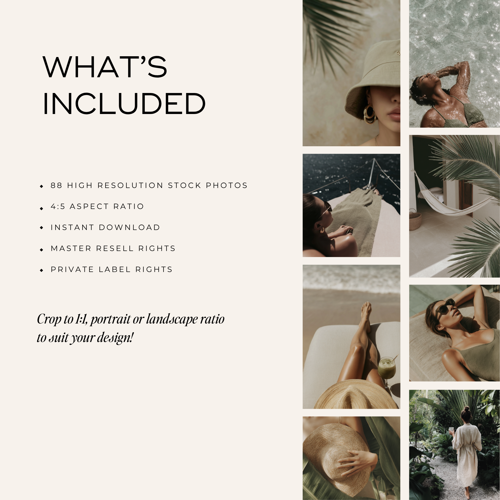 88 Tropical Summer Stock Photos