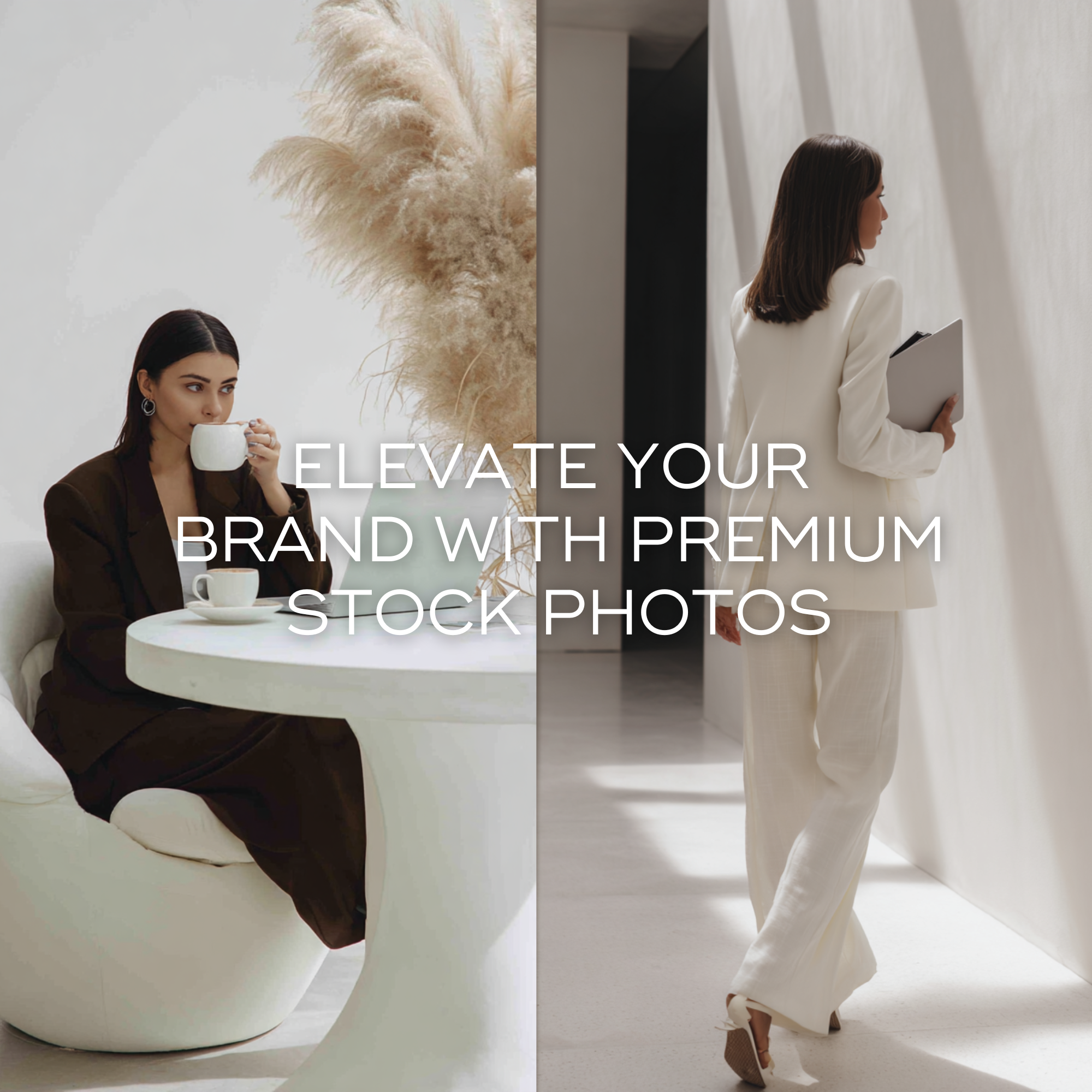 140 Brunette Boss Stock Photos