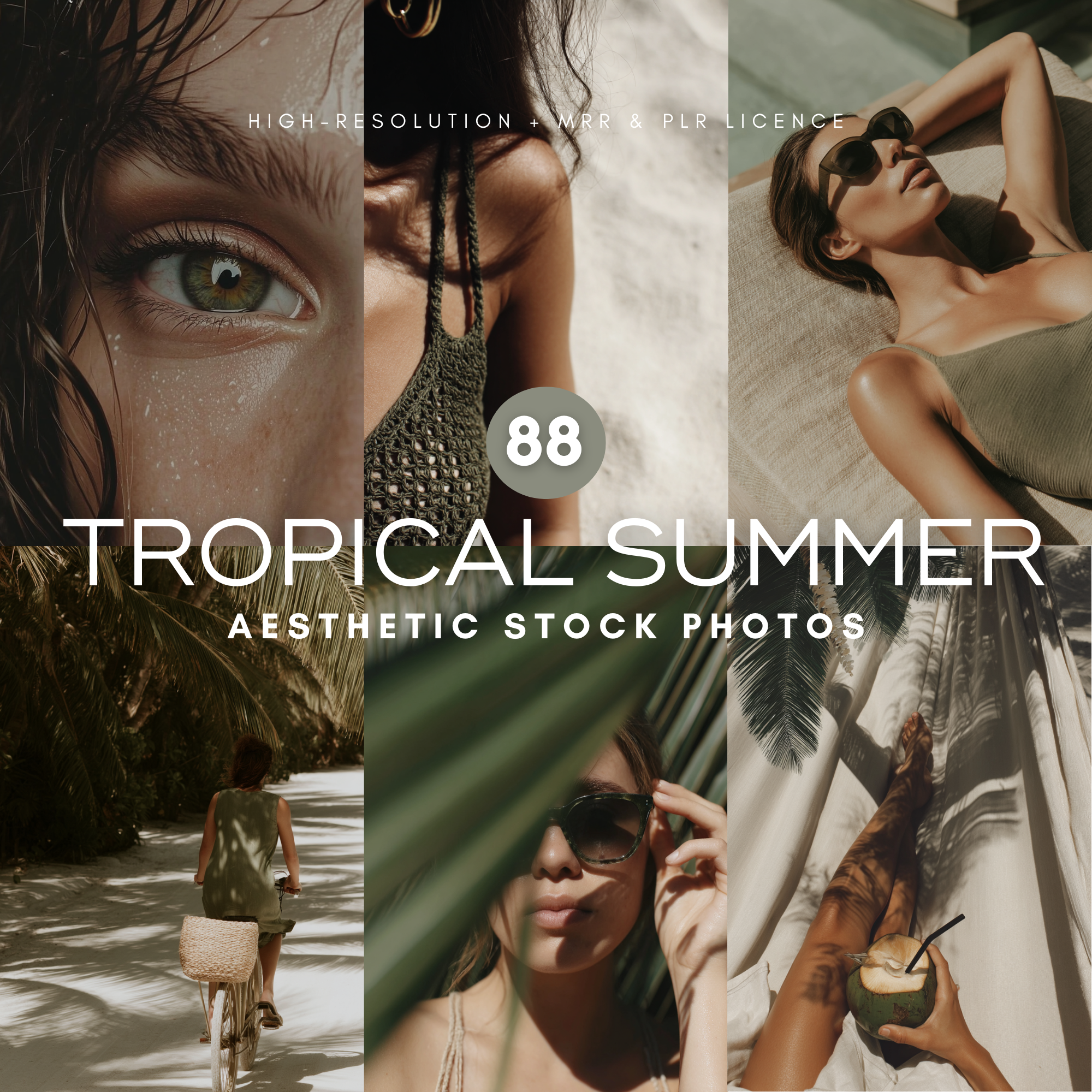 88 Tropical Summer Stock Photos